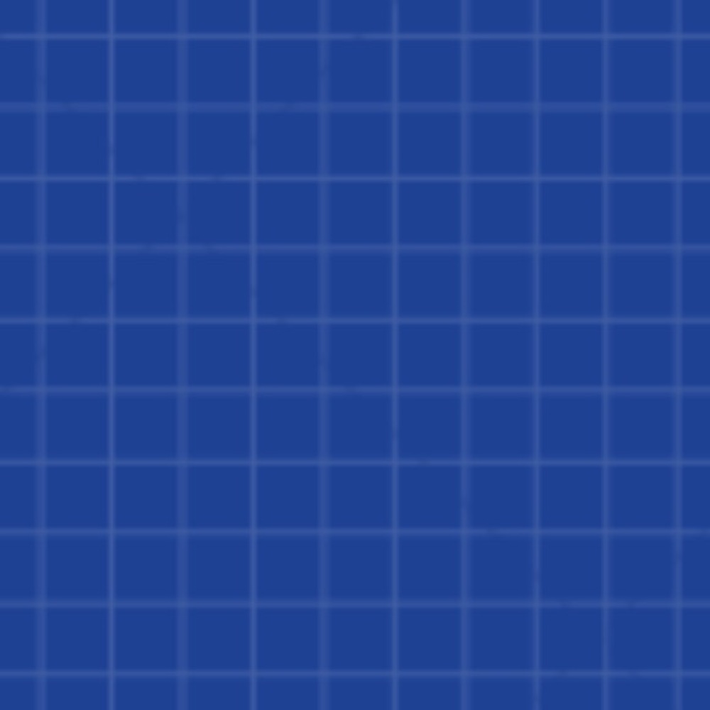 Meet your Posher, Ally